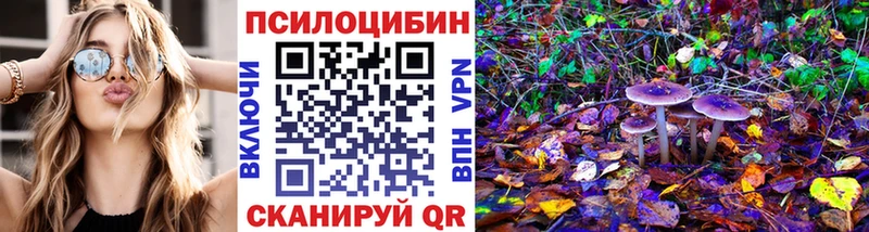 Псилоцибиновые грибы Psilocybe  Купить  Невинномысск 
